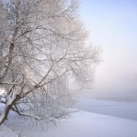 Зимний пейзаж. :: Анатолий 71 Зверев