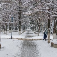А снег идет и тает :: Игорь Сикорский