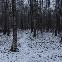 Почти зима :: Андрей Лукьянов