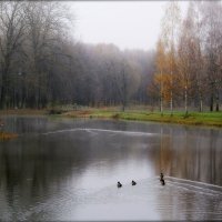 Осенний парк. :: leonid mejerov 