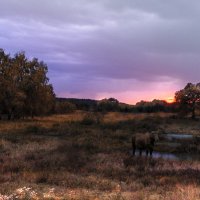 На закате... :: Александр Ковальчук