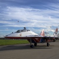 "Слон и моська" :: Владимир Сырых