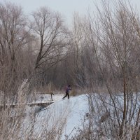 *** :: Вадим Губин