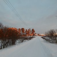 Дорога на закате. :: Елена Михайлова .