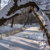 *** :: Владимир Безбородов