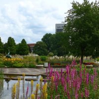 Planten un Blomen. Hamburg :: Nina Yudicheva