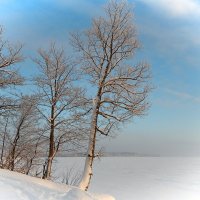 *** :: Елена Михайлова .