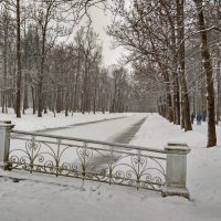 Зима пришла. :: Олег Попков