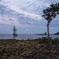 Ладожские шхеры. :: Наталия Владимирова