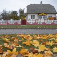 В городе осень :: Василь Веренич