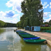 парк Тропарево-Никулино.Москва :: юрий макаров