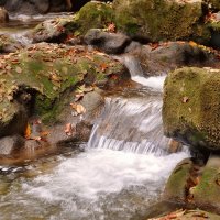 Бегущая вода :: Ольга Мальцева