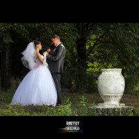 свадьба :: Дмитрий Сиренко