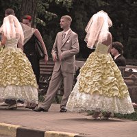 свадьба :: Светлана Шестова