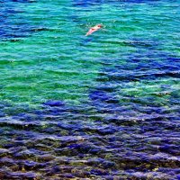 Одиночное плавание :: михаил кибирев