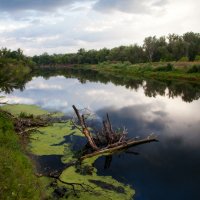 Тихий вечер на реке :: Евгений Кудинов