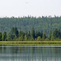 Утро,жара 35 в тени.. :: Леонид Балатский