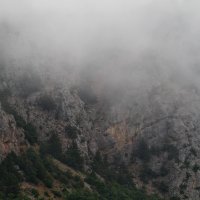 гора  в тумане :: valeriy g_g