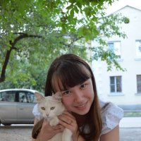 Кошка Татошка :: Сибирский Кот