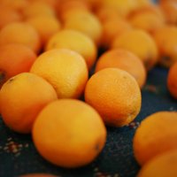 Апельсины. :: Nika Sleem