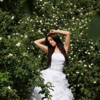 В розовом саду :: Виктория Малеева