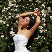 В розовом саду :: Виктория Малеева