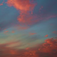 Вечерние краски Питерского неба :: Елена Разумилова