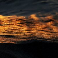 Золотой песок :: Артем Белев