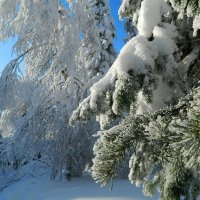 Немного зелени добавим в синеву... :: Светлана Иванчина