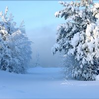 Белым снегом... :: Алексей Хаустов
