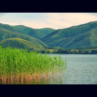 Озеро :: Элина 