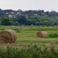 А осень все ближе и ближе... :: Юрий Морозов