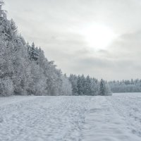 2 :: Александр Горбачев