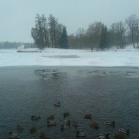 В Екатерининском парке :: Сапсан 