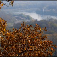 Осенние зарисовки :: Алексей Патлах