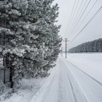 Столбы-столбы, провода-провода... :: Андрей Поляков