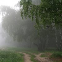 Туман. :: Владимир Гришин