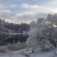 ... :: Елена Струкова