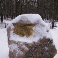 Природно исторический парк "Измайлово" :: Анна Воробьева