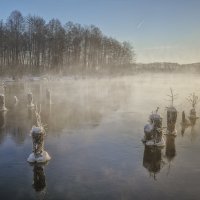 Морозное утро. :: Анатолий 71 Зверев