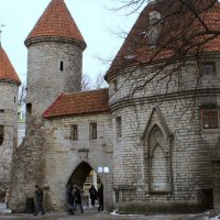 Tallinn :: Caren Yvonne Rikkilä