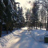 О прогулках в декабре.. :: Андрей Заломленков