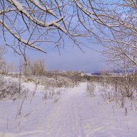 Зима в городском парке :: Юрий Митенёв