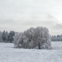 2 :: Александр Горбачев