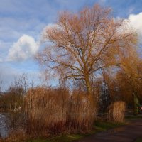 Hamburg.  Aussenmühlenteich :: Nina Yudicheva