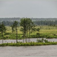 ...на острове.. :: Александр 