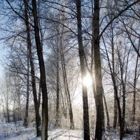 Зима :: Мария Ларионова
