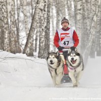 Рождественский заезд. :: aWa 