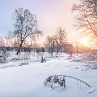 Склонившаяся веточка :: Юлия Батурина