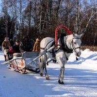 Санный путь в Кузьминках :: Анатолий Колосов